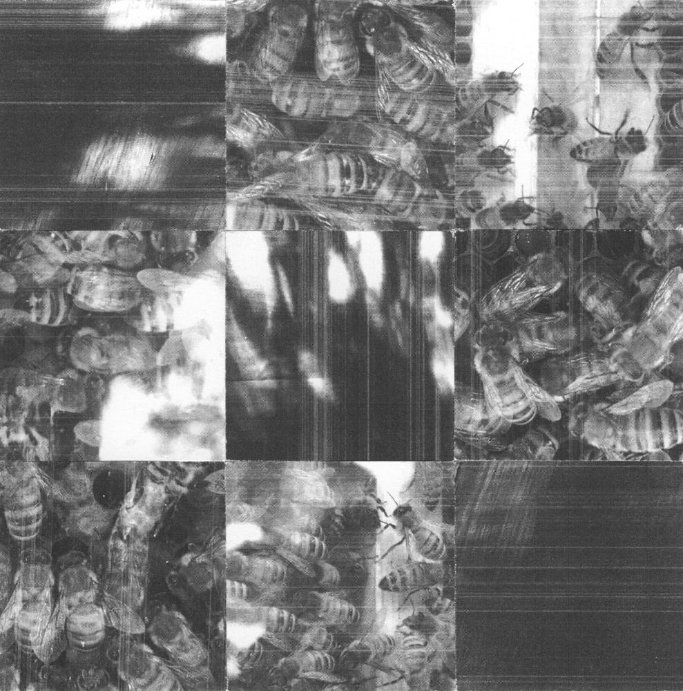 Nine-tile black-and-white collage combining rounded mesh-like textures and blurred reflected light.