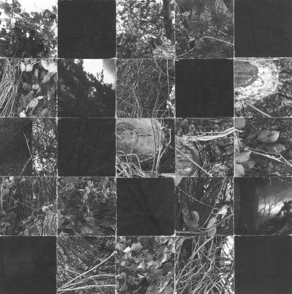 Black-and-white checkerboard collage mixing dark squares, branches, bark and leaf textures.