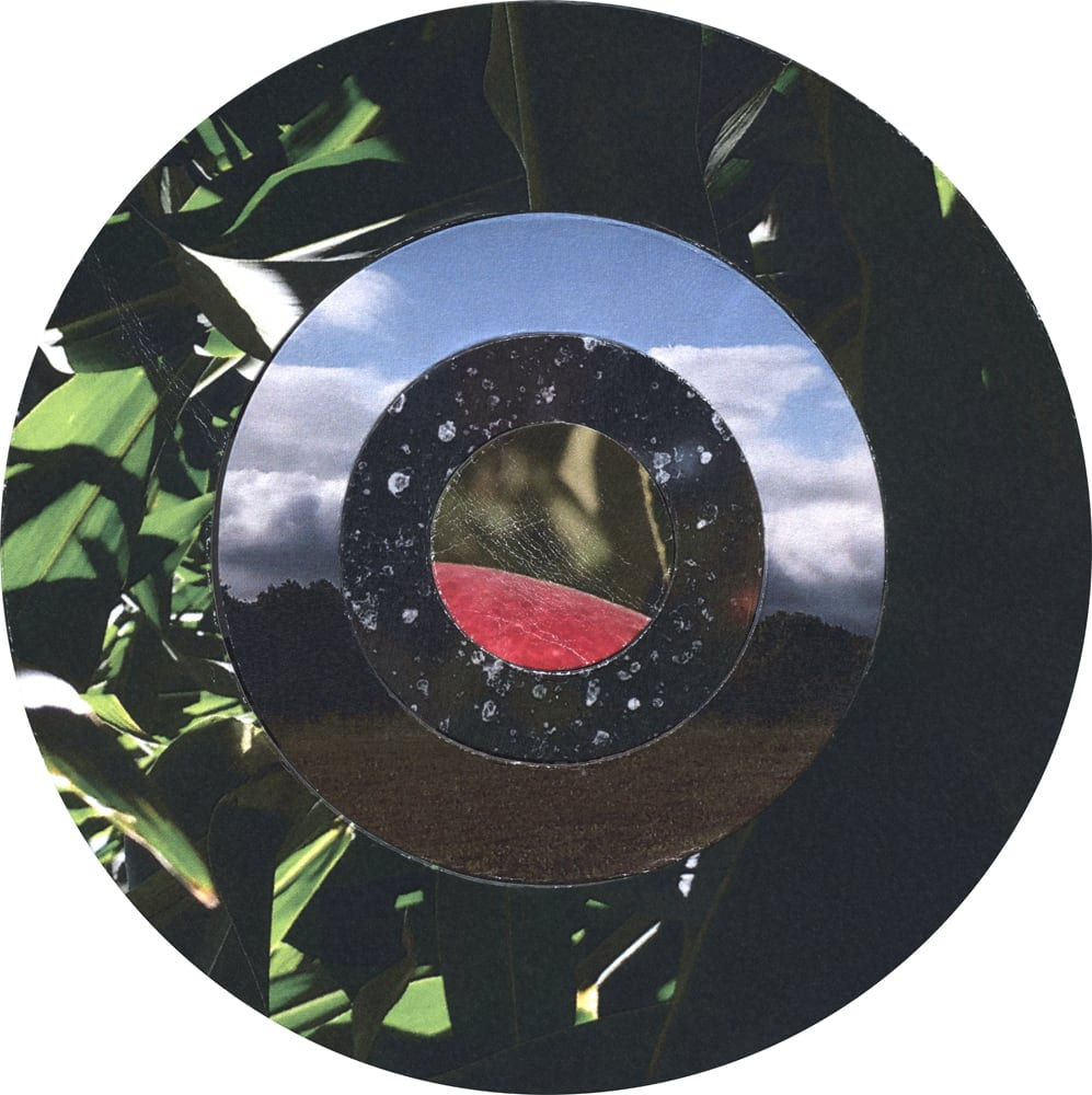 Circular collage of green leaves, blue sky and a small red segment arranged in concentric rings.