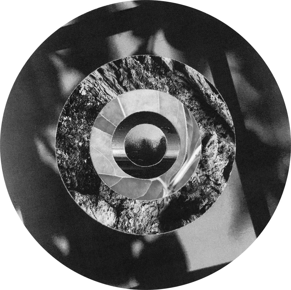 Circular black-and-white collage with a rough bark ring around a small landscape horizon, against blurred light spots.