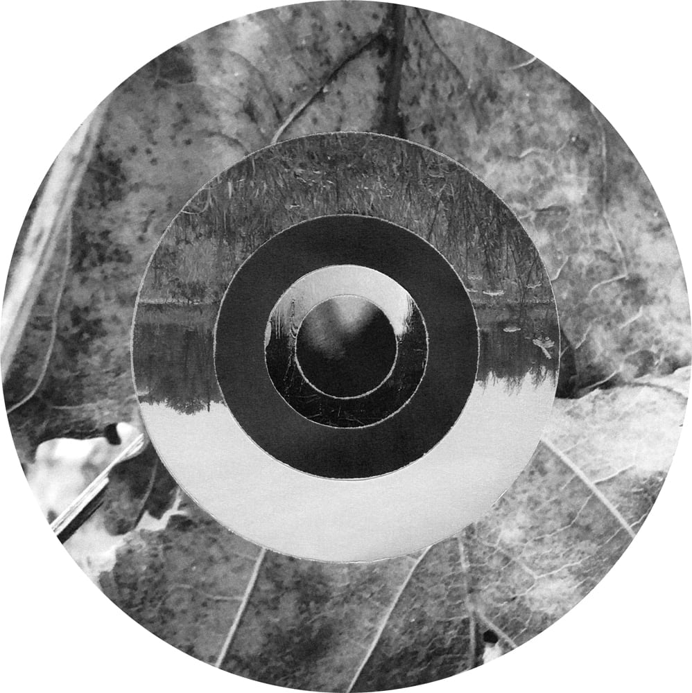 Circular black-and-white collage of leaf and reflected landscape fragments arranged in concentric rings.