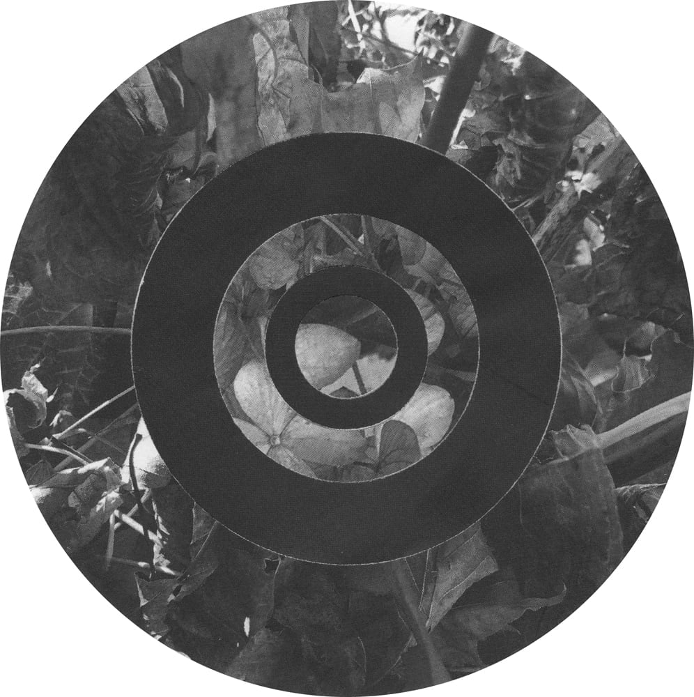 Circular black-and-white leaf collage with a broad dark ring around small pale leaf fragments.