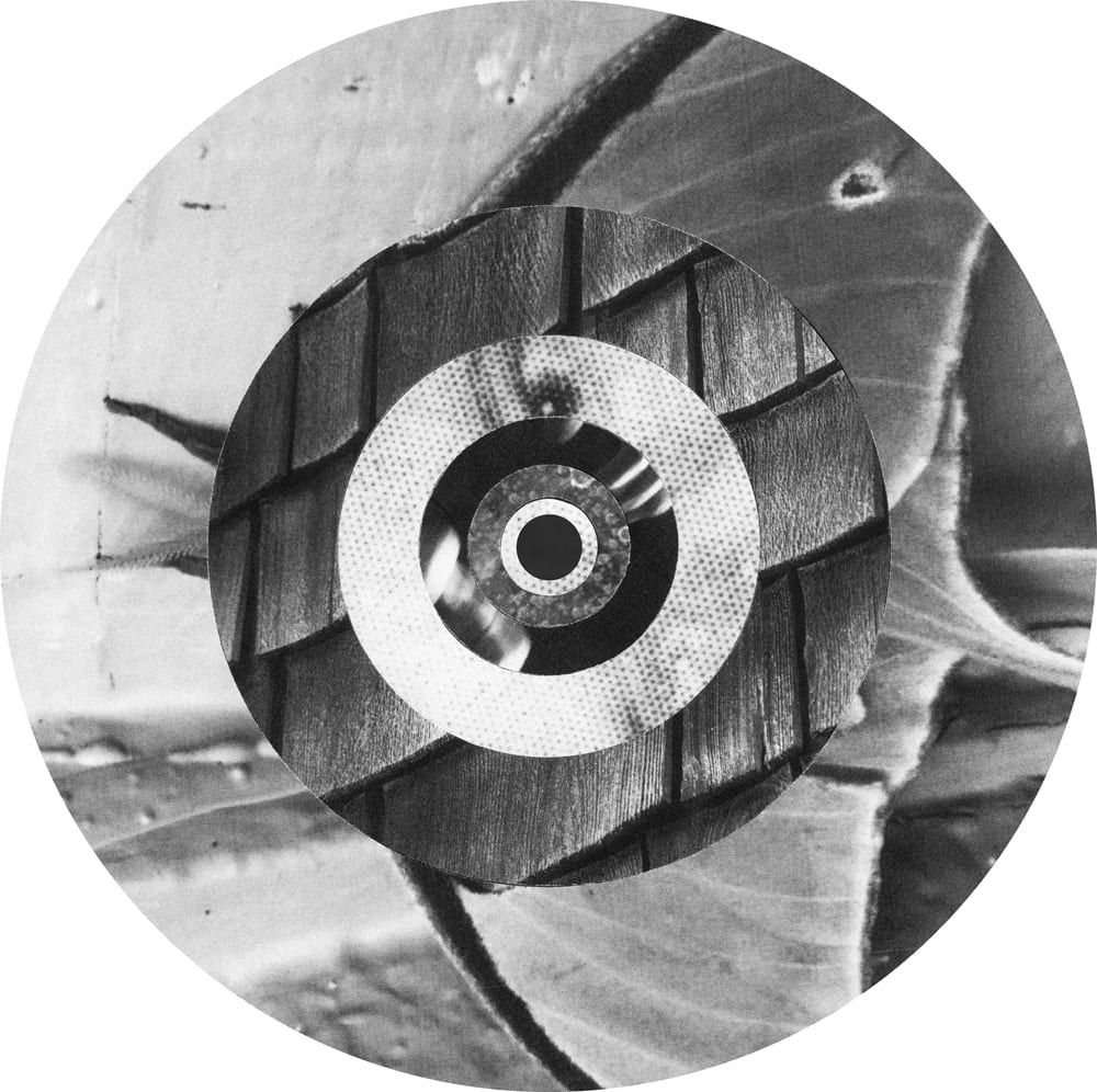 Circular black-and-white collage of wood grain, leaves and halftone textures in concentric rings.