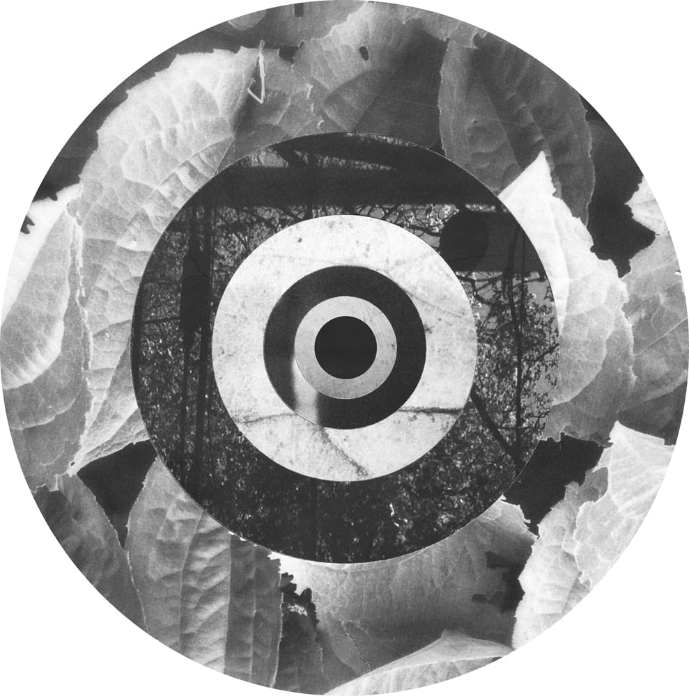 Circular black-and-white collage of leaves and rough textures arranged in concentric rings.