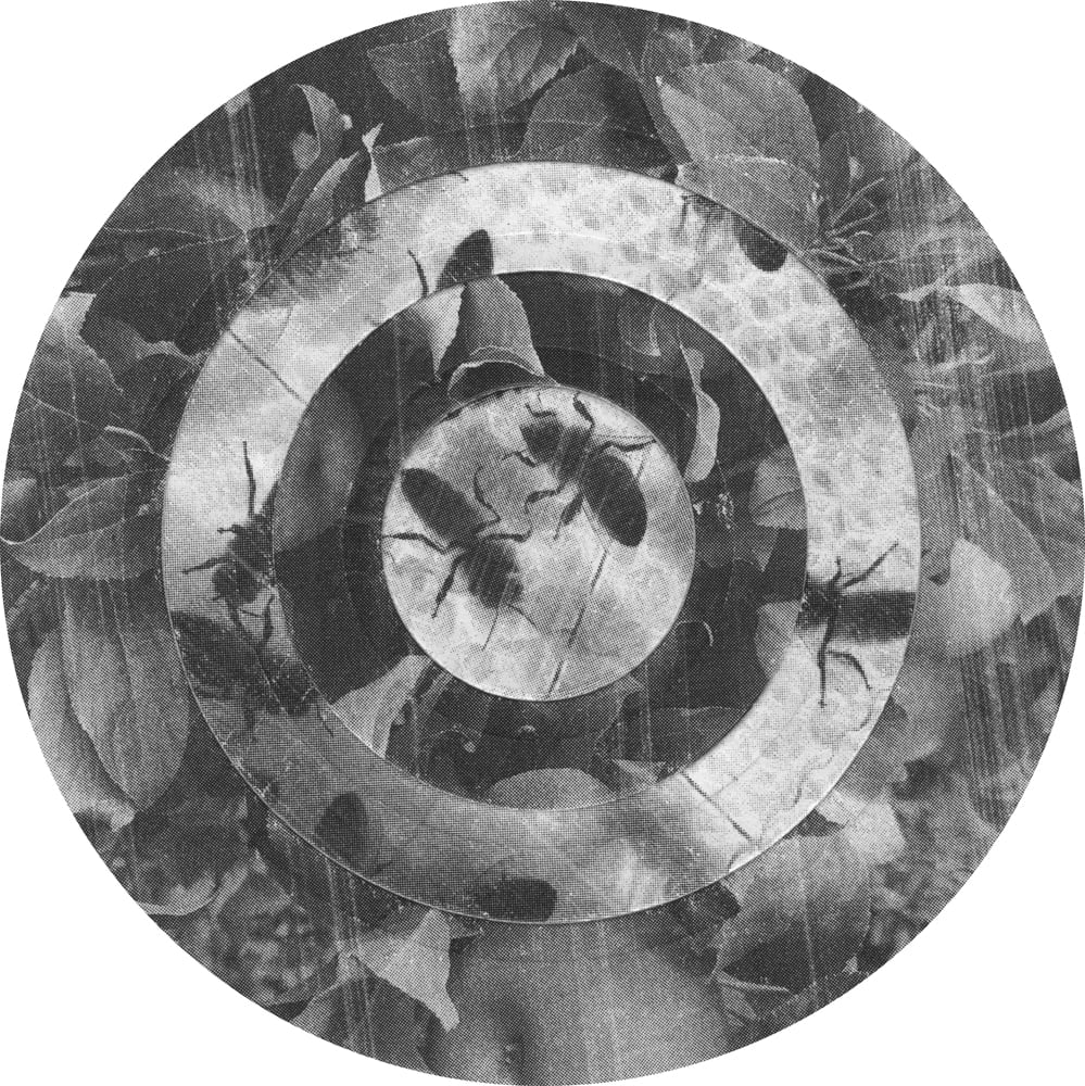 Circular black-and-white collage of plant fragments and rough textures repeated in concentric rings.