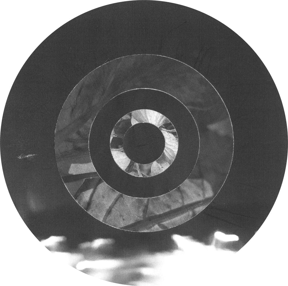 Concentric dark photographic rings around flower fragments, with blurred white lights along the bottom edge.