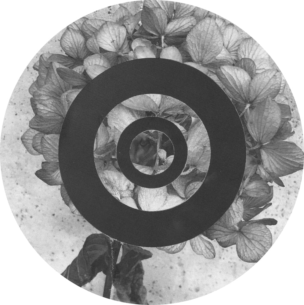Circular black-and-white flower collage interrupted by a broad dark ring around a floral center.