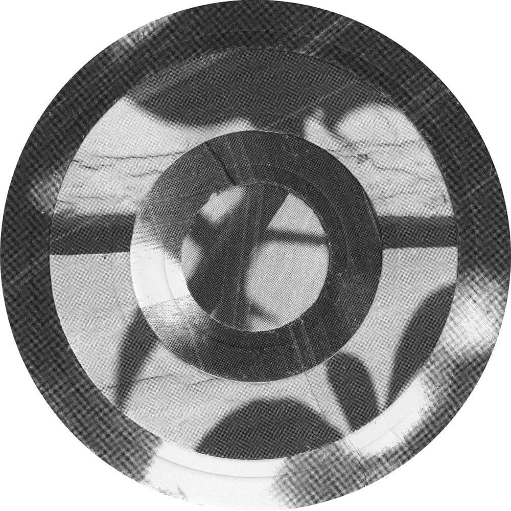 Concentric black-and-white photographic rings with leaf shadows and horizontal bands.