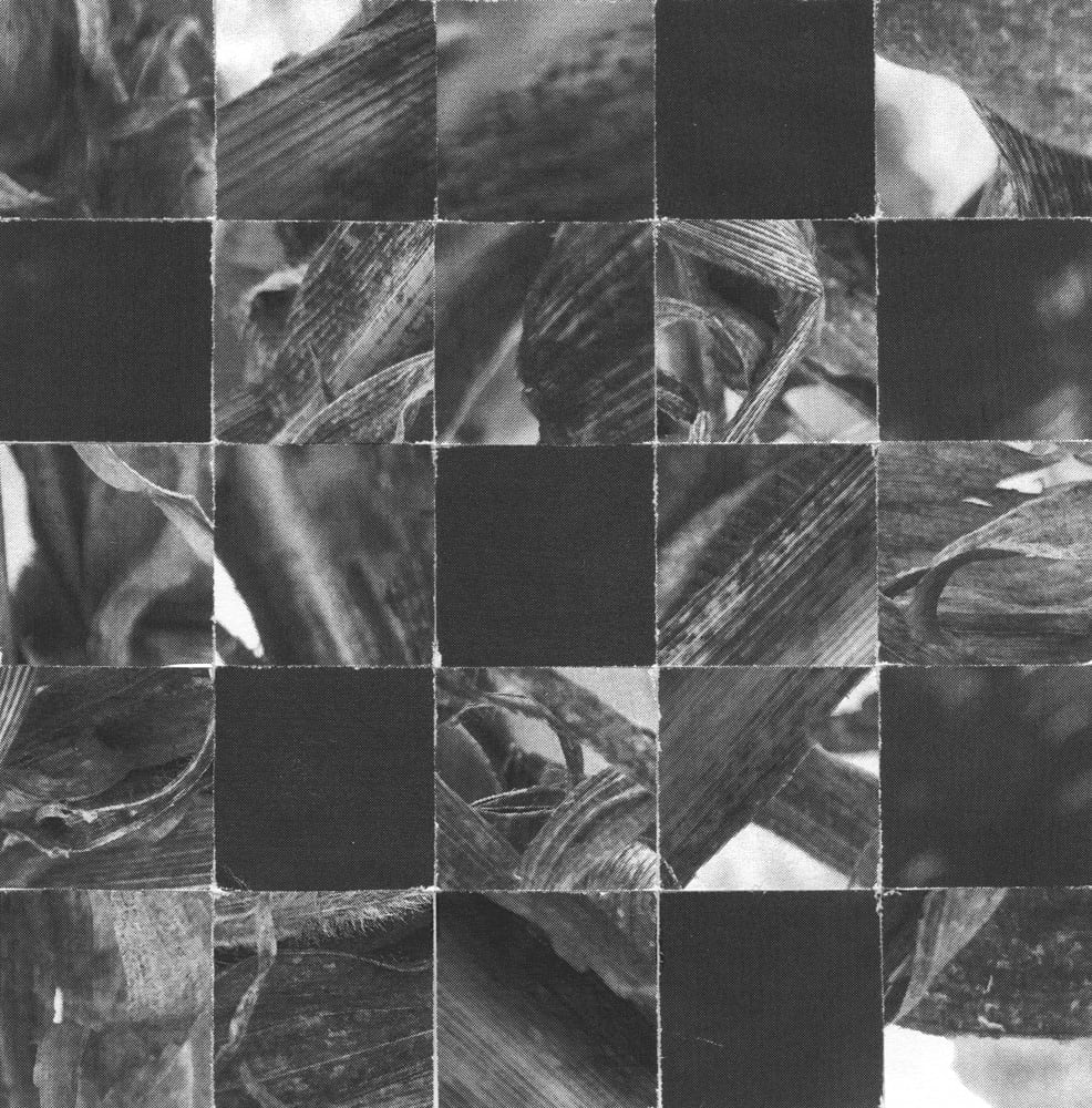 Black-and-white checkerboard collage of dark squares and long leaves and stems.