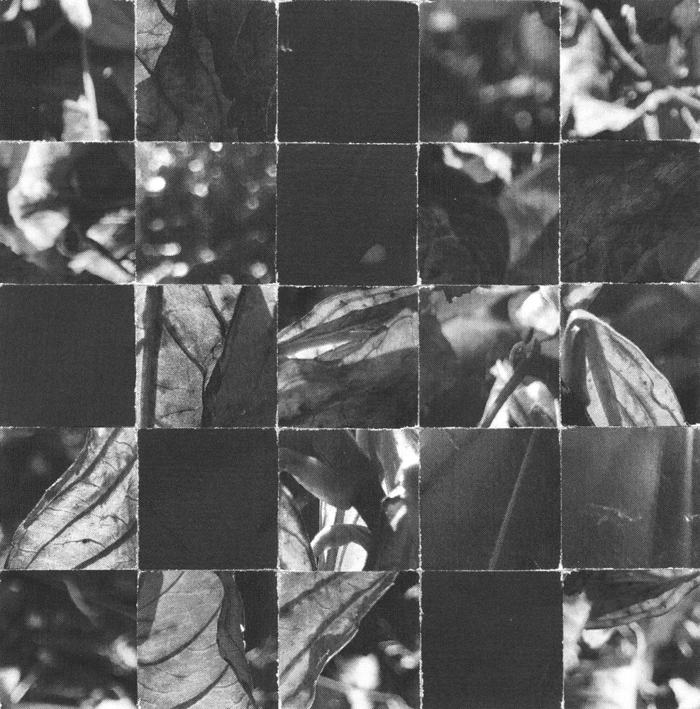 Black-and-white checkerboard collage mixing dark tiles with flowers, leaves and blurred lights.