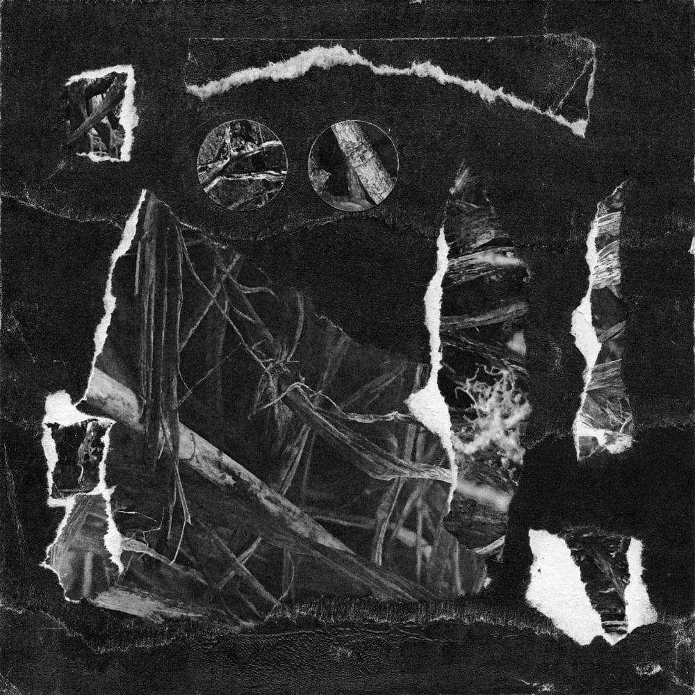 Black-and-white twig photographs arranged as torn rectangular fragments and small circular cutouts on black.