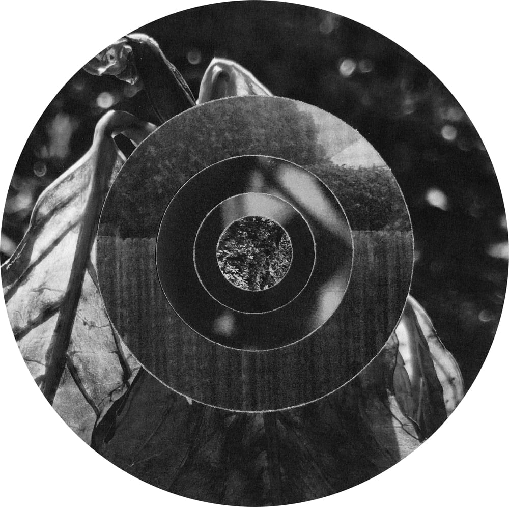 Circular black-and-white leaf collage with dark concentric rings and scattered blurred highlights.