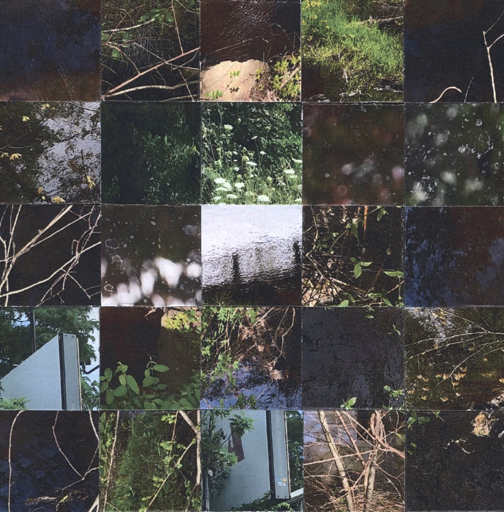 Square grid collage of green leaves, branches, vegetation and blurred light spots.