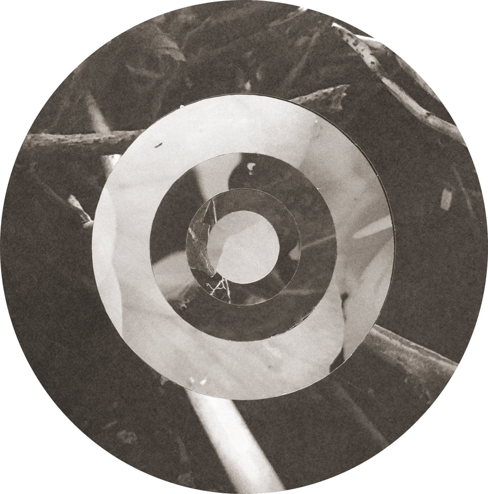 Brown-toned circular collage with pale photographic rings across dark branching textures.