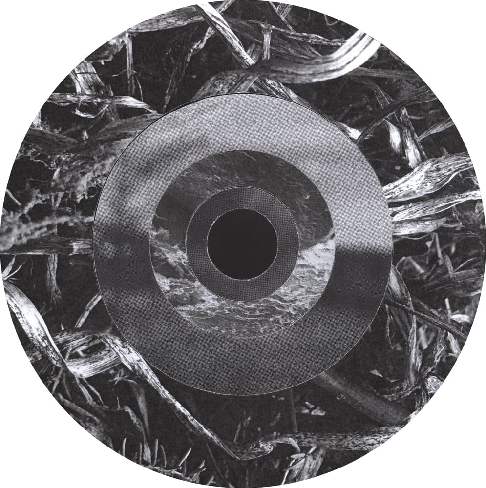 Circular black-and-white collage of sharp twig textures around a smooth gray ring and dark center.