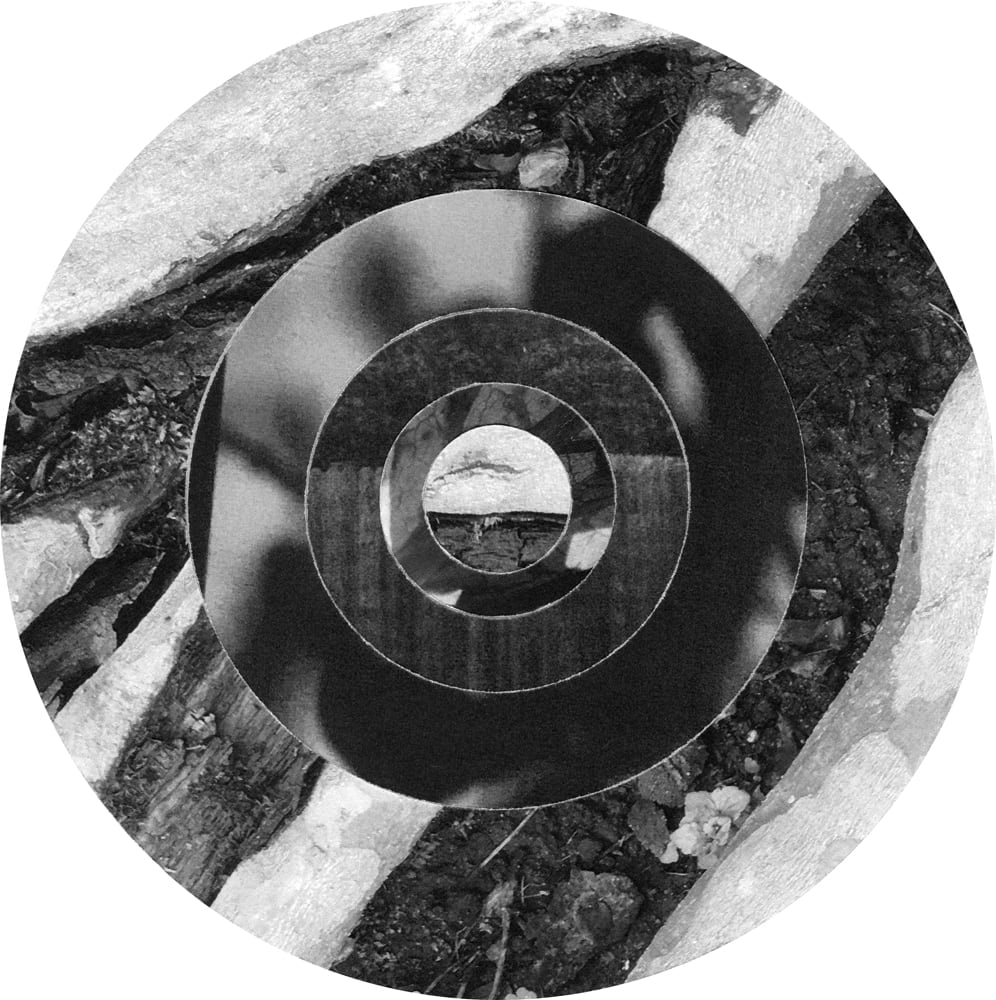 Concentric black-and-white photographic rings surrounded by rough diagonal bark textures.