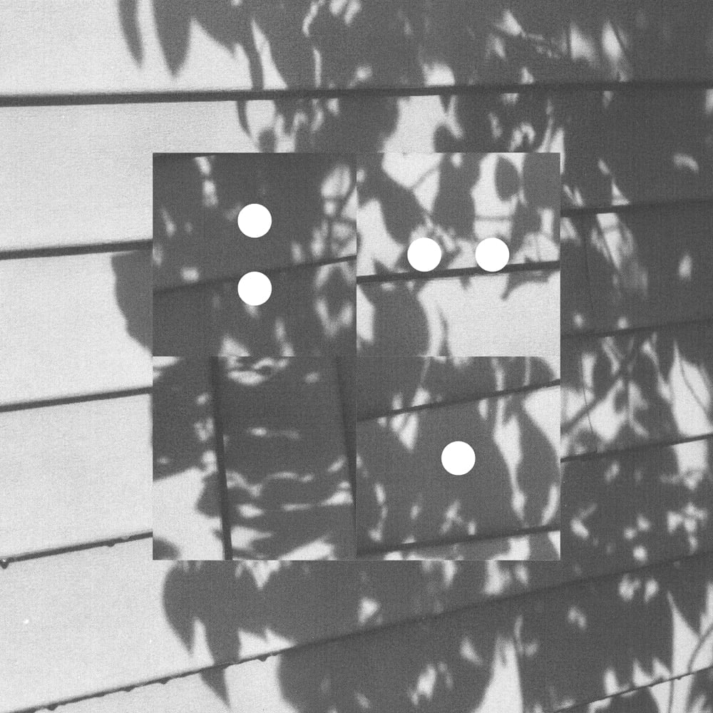 Black-and-white collage of leaf shadows on horizontal siding, with dark rectangular panels and white circular cutouts.