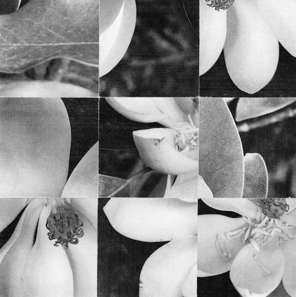 Nine-tile black-and-white flower collage with pale petals and dark leaf fragments.