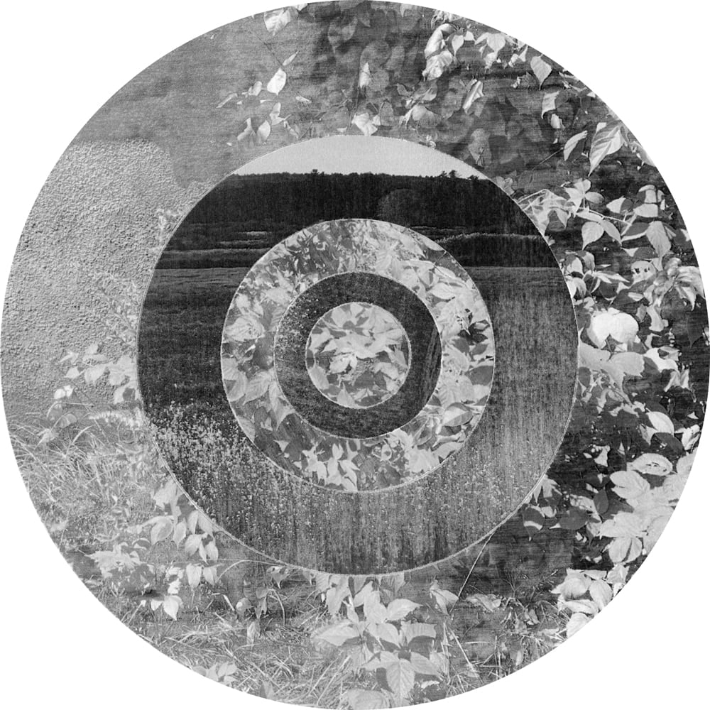 Circular black-and-white collage of landscape and leaf photographs with a broad wood-grain ring.