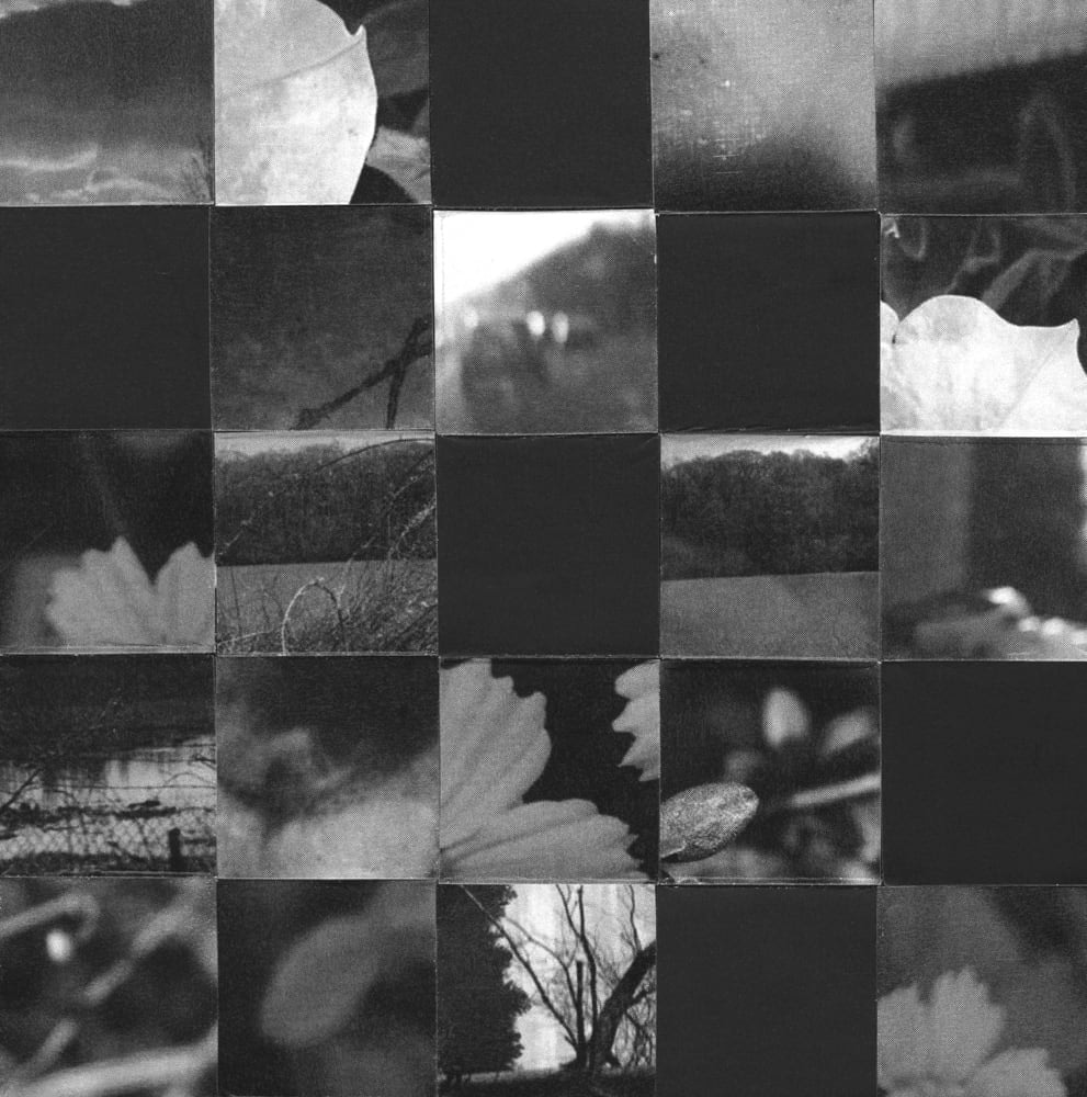 Black-and-white checkerboard of dark panels, leaves, flowers and blurred photographic textures.
