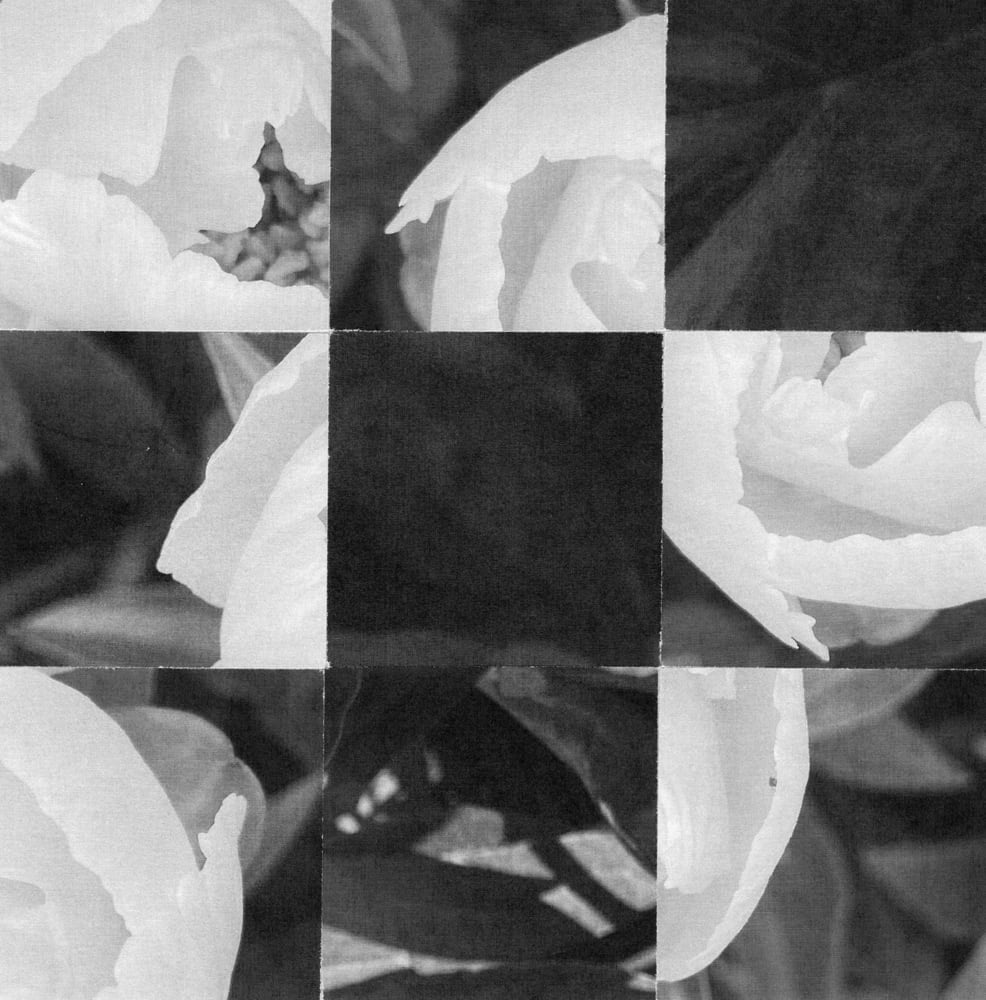 Nine-tile black-and-white collage of pale petals and flower centers.