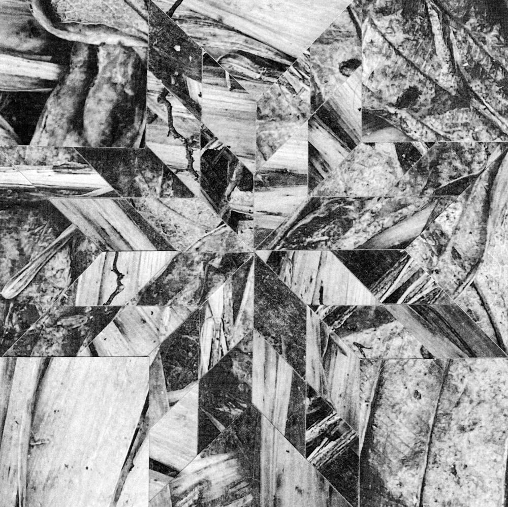 Black-and-white grid collage of splintered wood, twigs and rough bark textures.