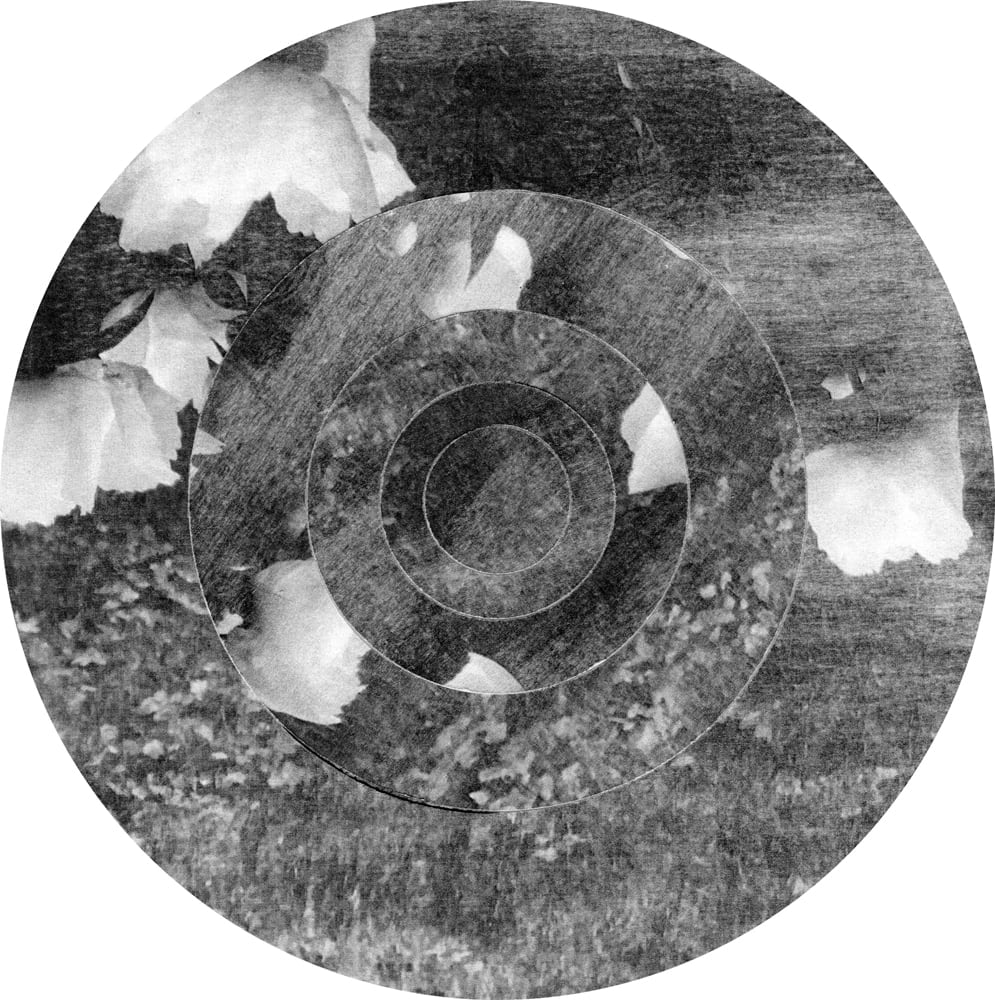Circular black-and-white landscape collage with irregular bright fragments inside concentric textured rings.