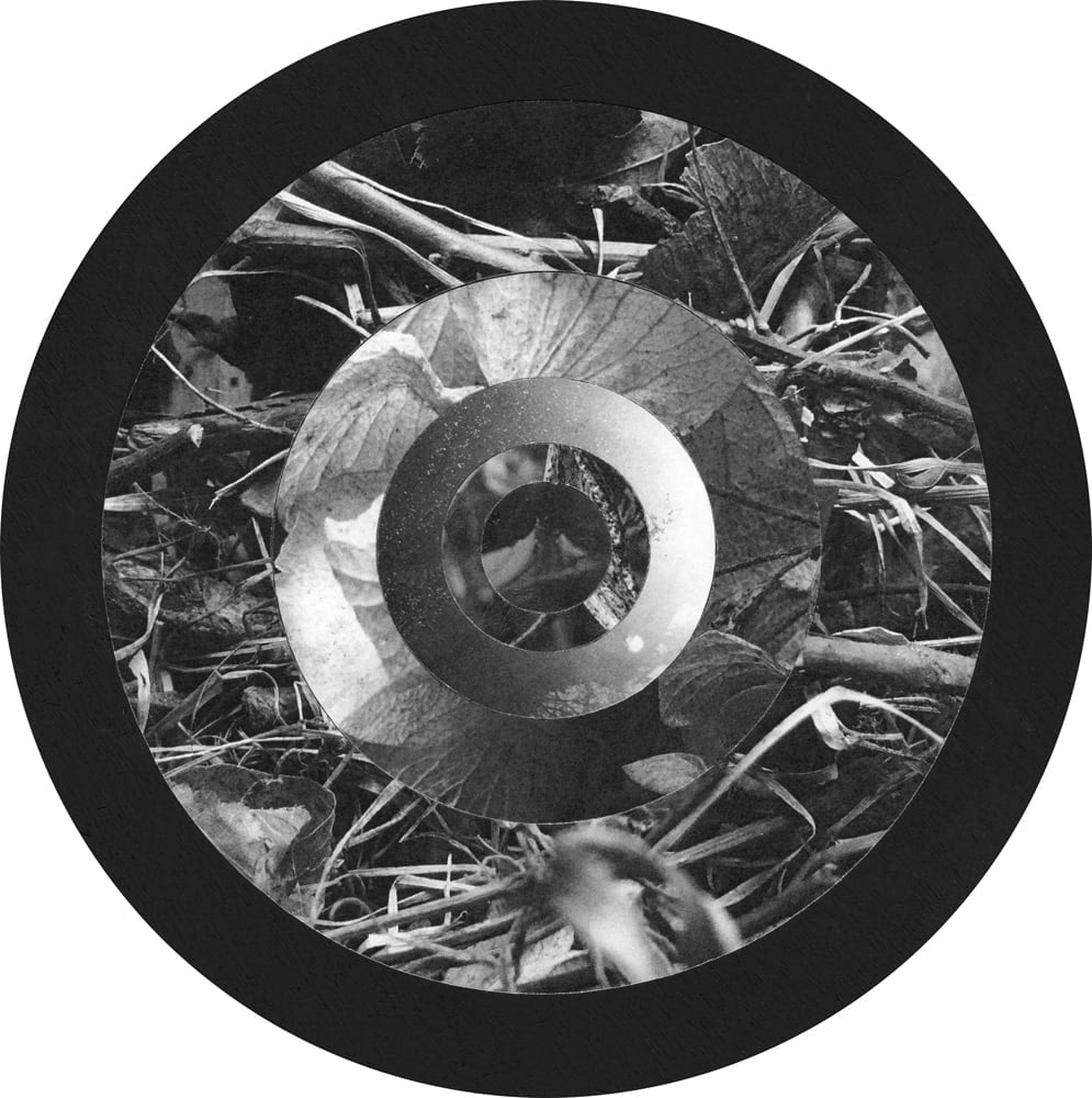 Black circular border enclosing a twig photograph and concentric rings of leaves and reflected highlights.