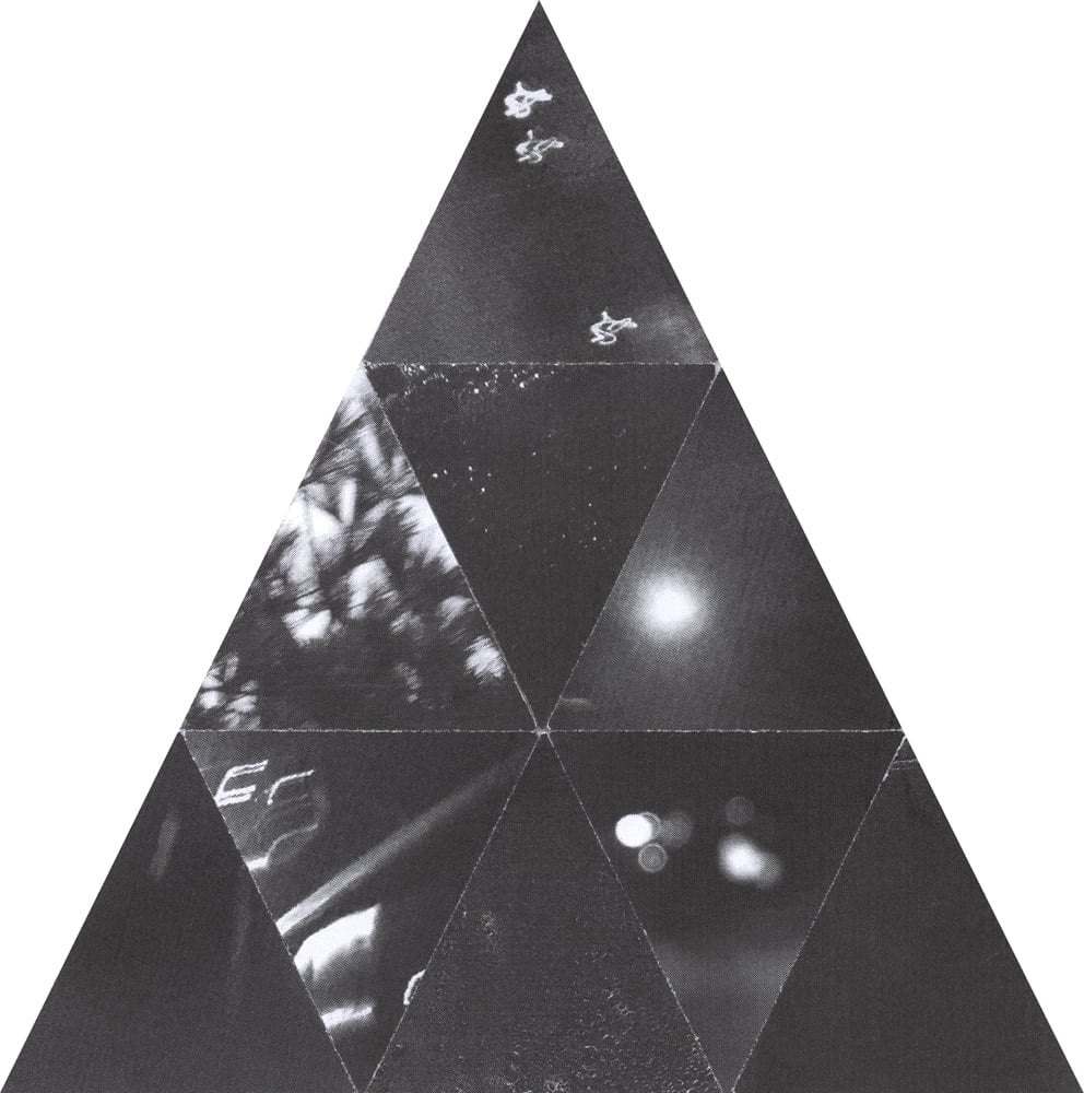 Tall triangular black-and-white collage with bright lights, foliage and dark photographic fragments.