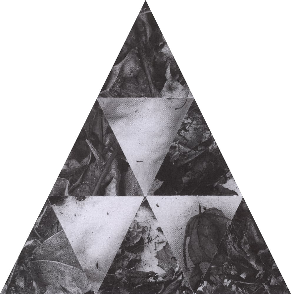Tall triangular black-and-white collage of leaves and textured photographic fragments arranged in smaller triangles.