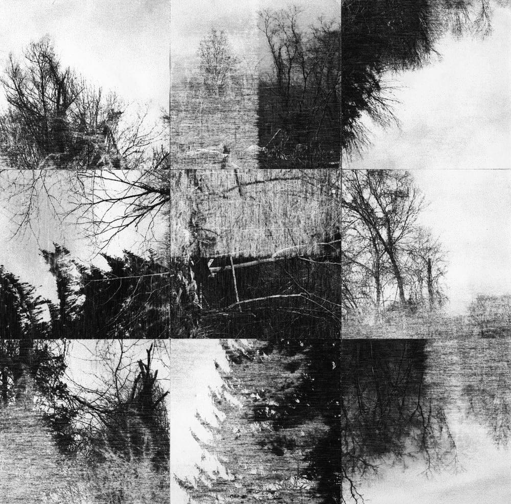 Nine-tile black-and-white collage of mirrored and rotated bare-tree photographs.