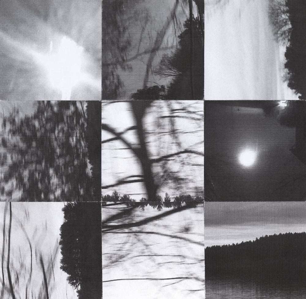 Nine-tile black-and-white collage of landscapes, bare branches and a bright circular light.
