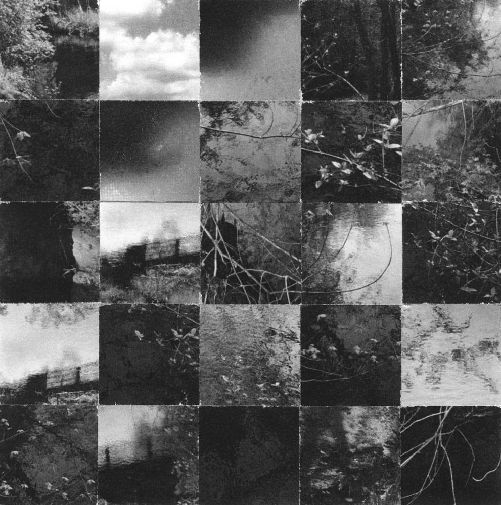 Black-and-white checkerboard collage of trees, foliage, sky and dark photographic fragments.