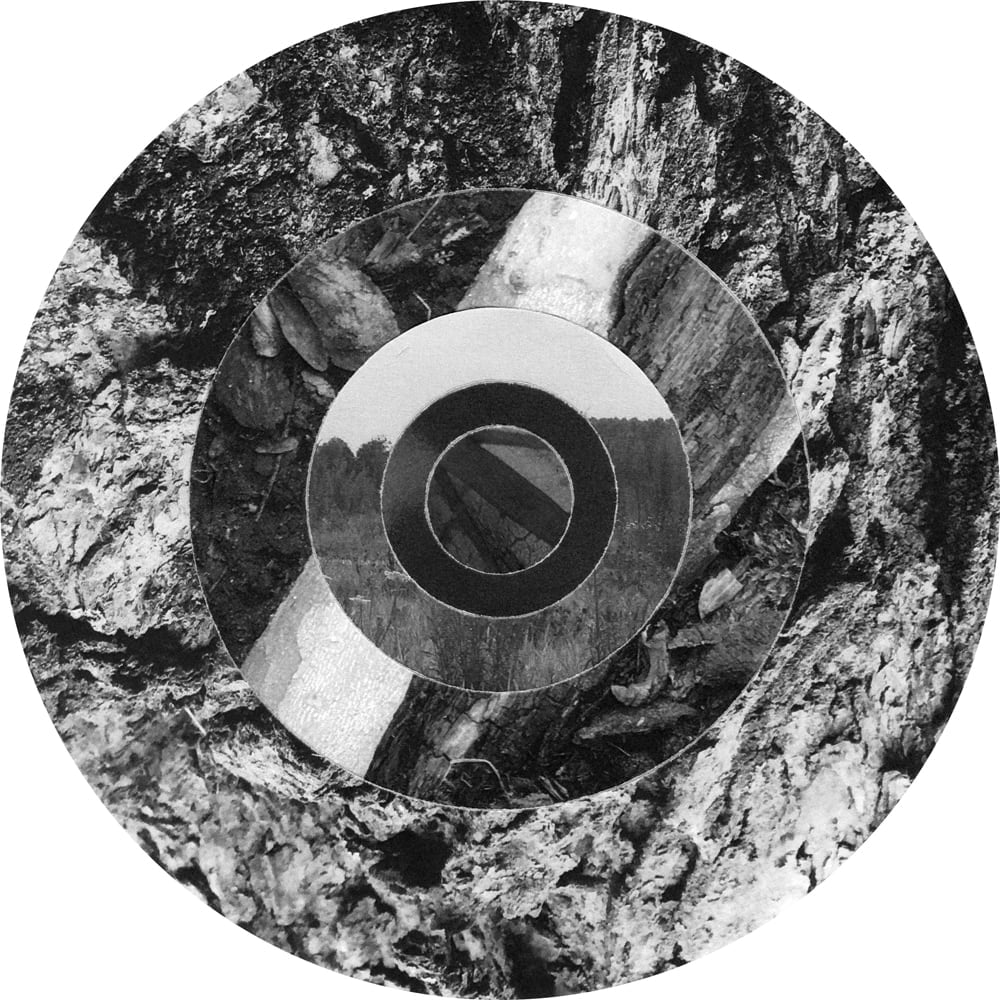 Concentric black-and-white rings combining rough tree bark and dark photographic fragments.