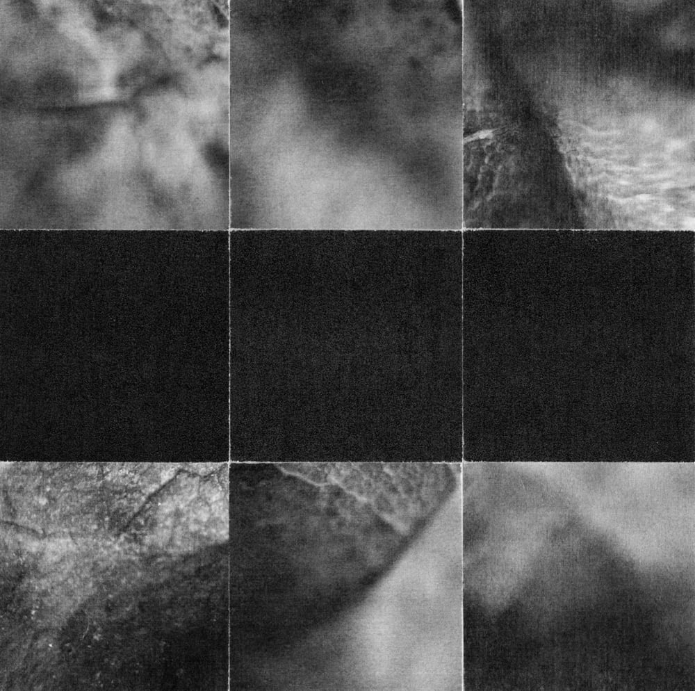 Black-and-white nine-tile collage with a dark horizontal center band between blurred nature photographs.