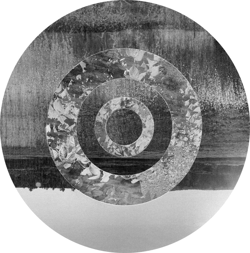 Concentric leaf-and-wood photographic rings over a black-and-white reflected landscape.