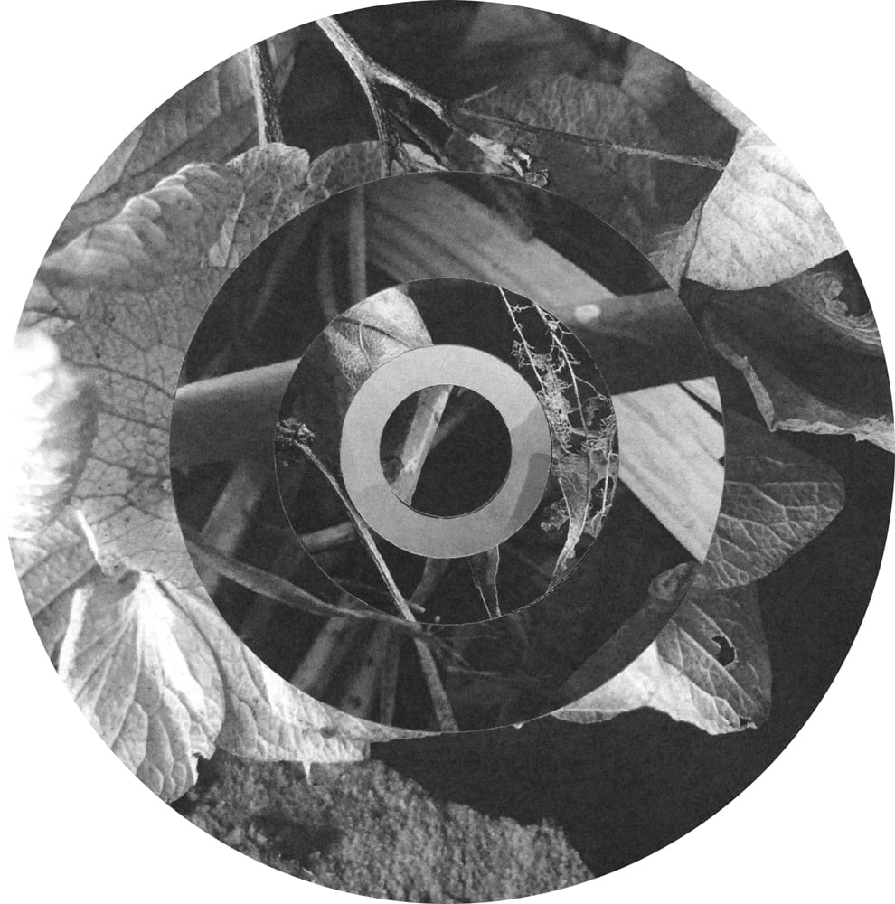 Circular black-and-white collage of overlapping leaves and rough textures in concentric rings.
