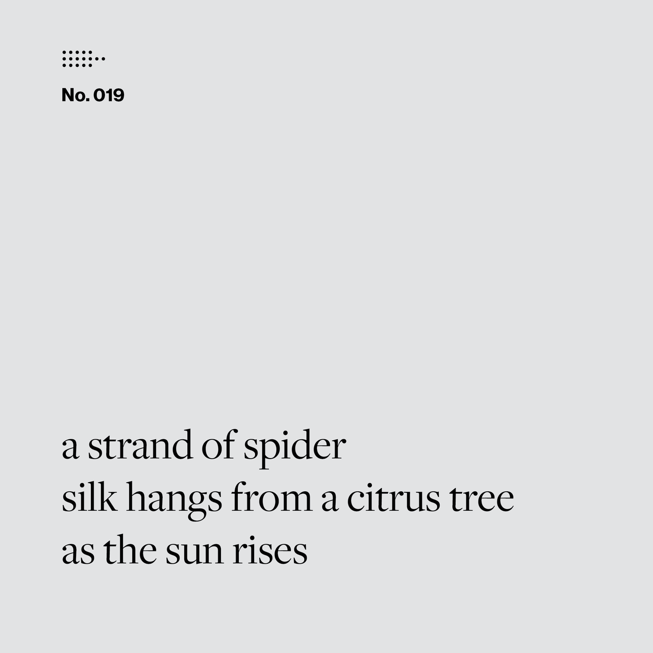 Poem No. 019: a strand of spider / silk hangs from a citrus tree / as the sun rises.