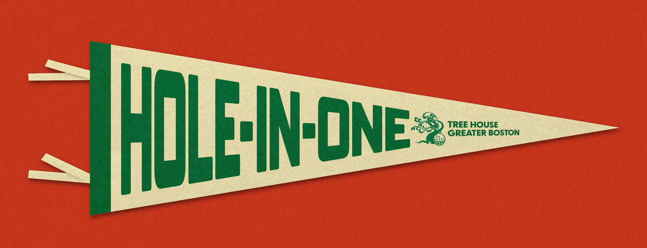 Cream triangular Hole-in-One pennant with dark green lettering, an ornamental tree and streamers, on red.