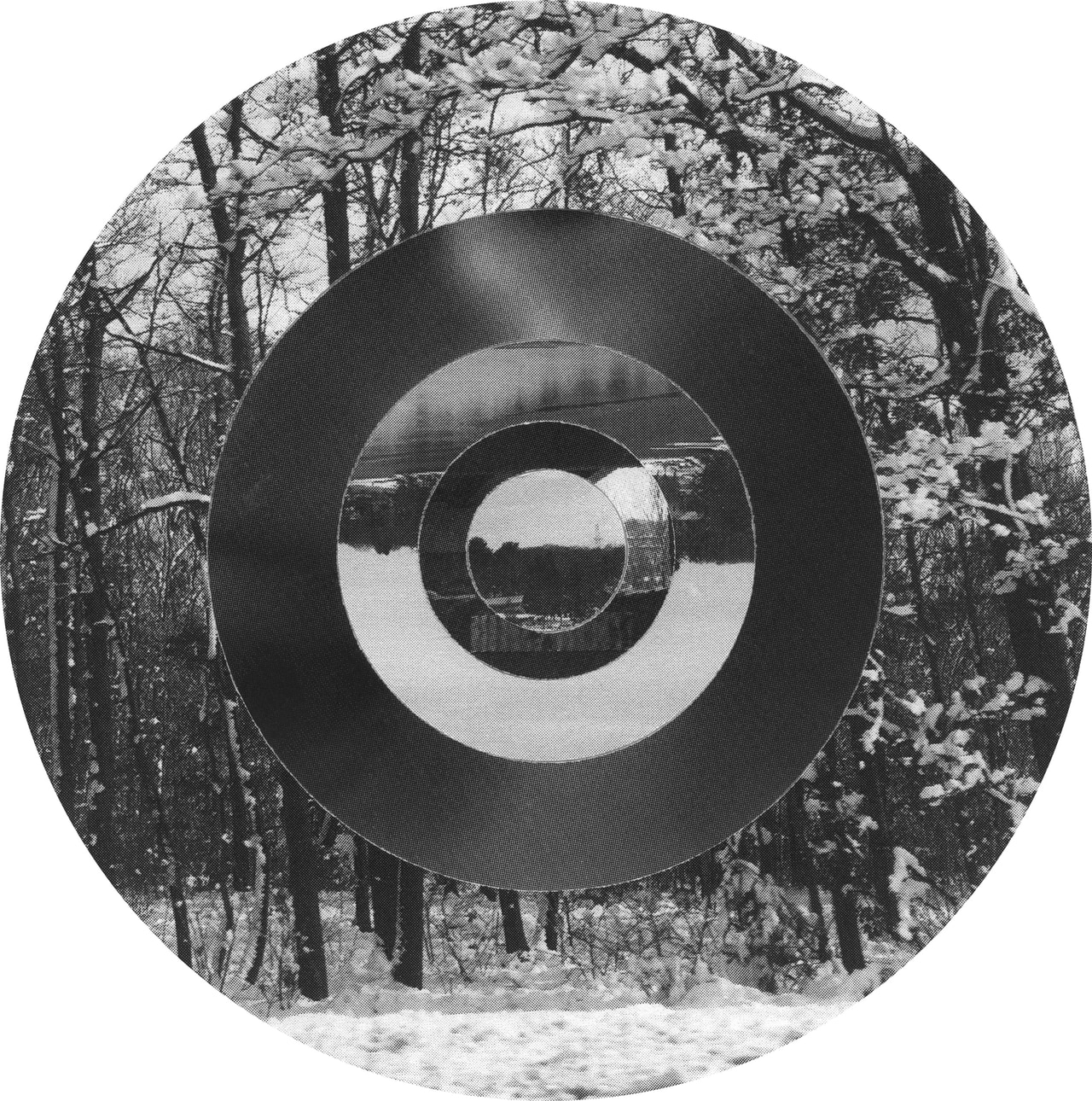Black-and-white woodland photograph in a circular crop, interrupted by a broad dark ring and a small reflected landscape center.