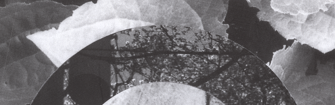Wide black-and-white strip collage combining torn flower edges, curved photographic fragments and tree textures.