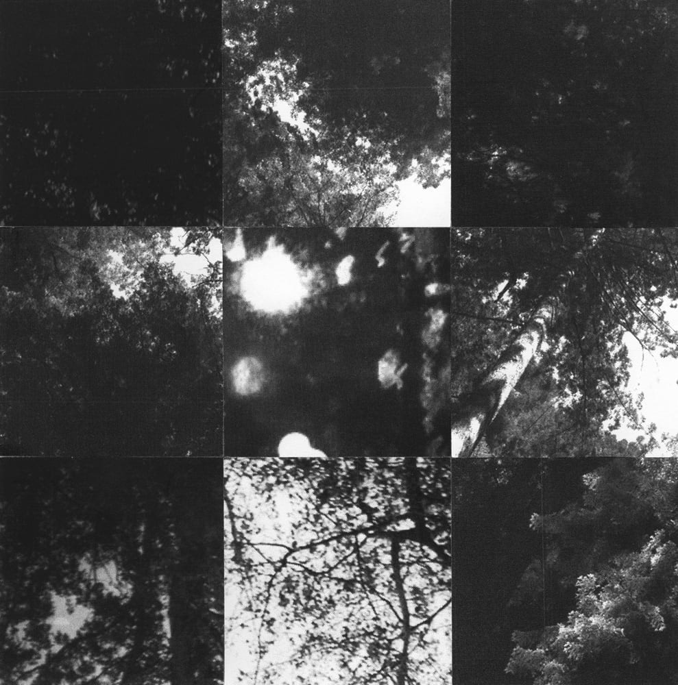 Nine-tile black-and-white collage of tree branches, dark foliage and bright blurred lights.