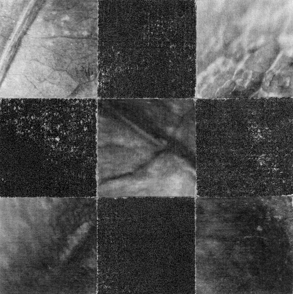 Nine-tile black-and-white collage alternating rough dark textures with leaf and bark fragments.