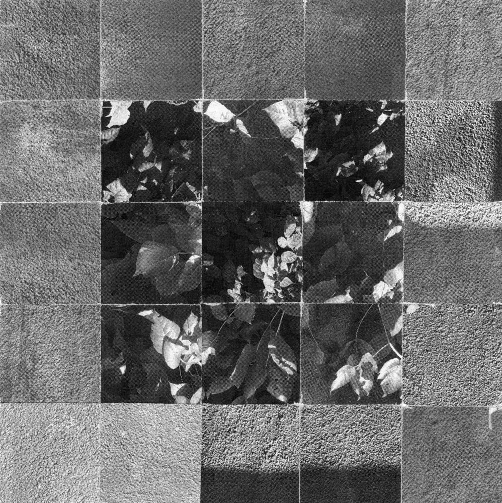 Black-and-white leaf photographs arranged in a three-by-three center grid, surrounded by rough gray texture tiles.