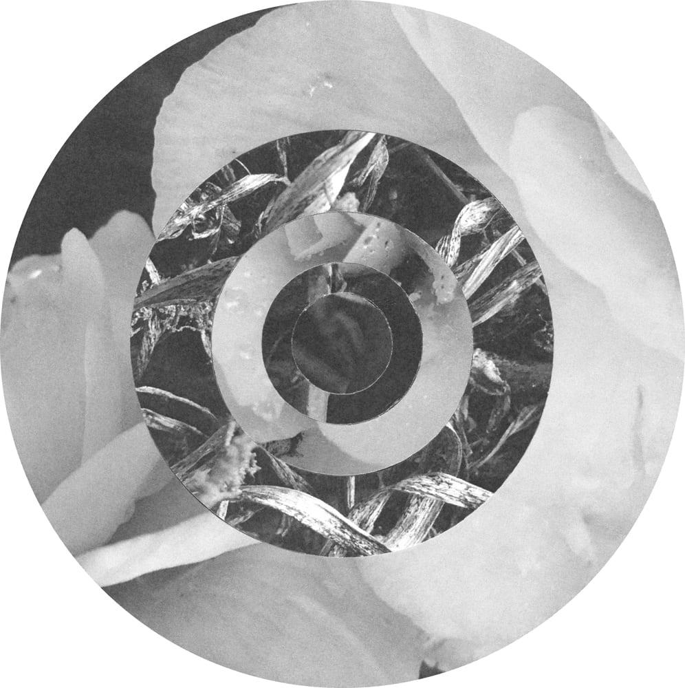 Circular black-and-white collage of pale petals and reflective crumpled textures in concentric rings.