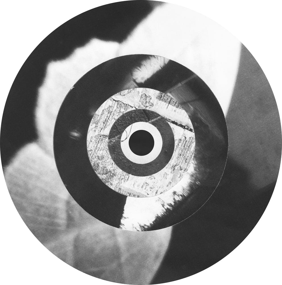 Concentric black-and-white photographic rings with leaves and a bright textured inner band.