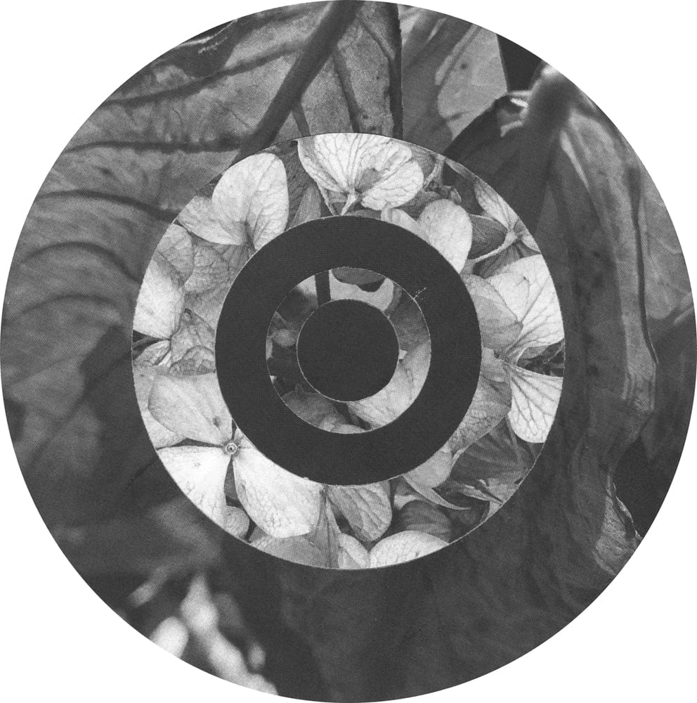Circular black-and-white collage with veined leaves around a ring of small flowers and a dark center.