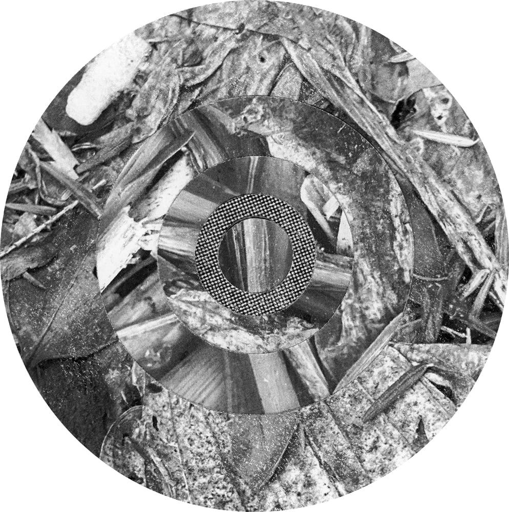Circular black-and-white collage combining twigs, rough bark and a small patterned inner ring.