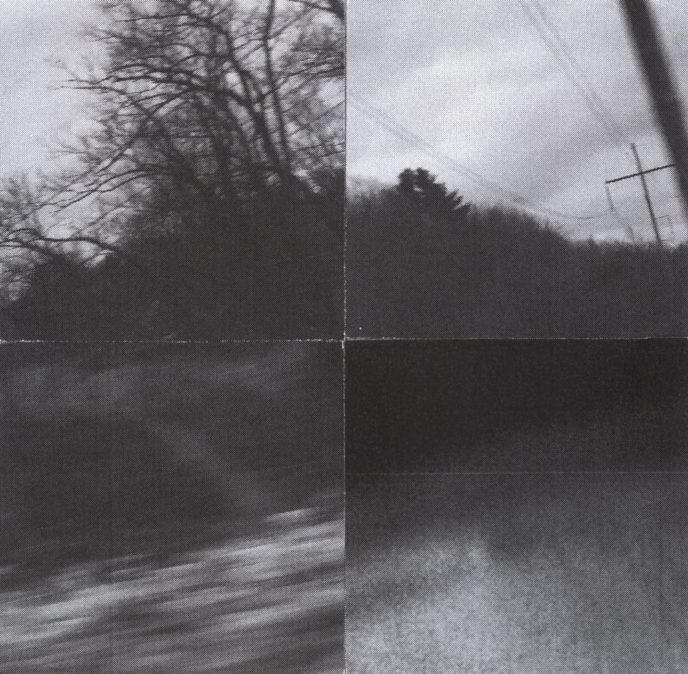 Four-tile black-and-white collage of bare trees, pale sky and dark woodland photographs.