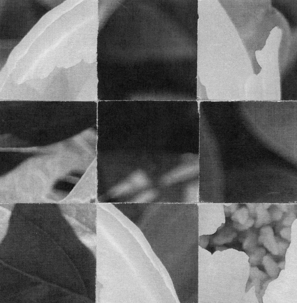 Nine-tile black-and-white flower collage with a dark vertical center band.